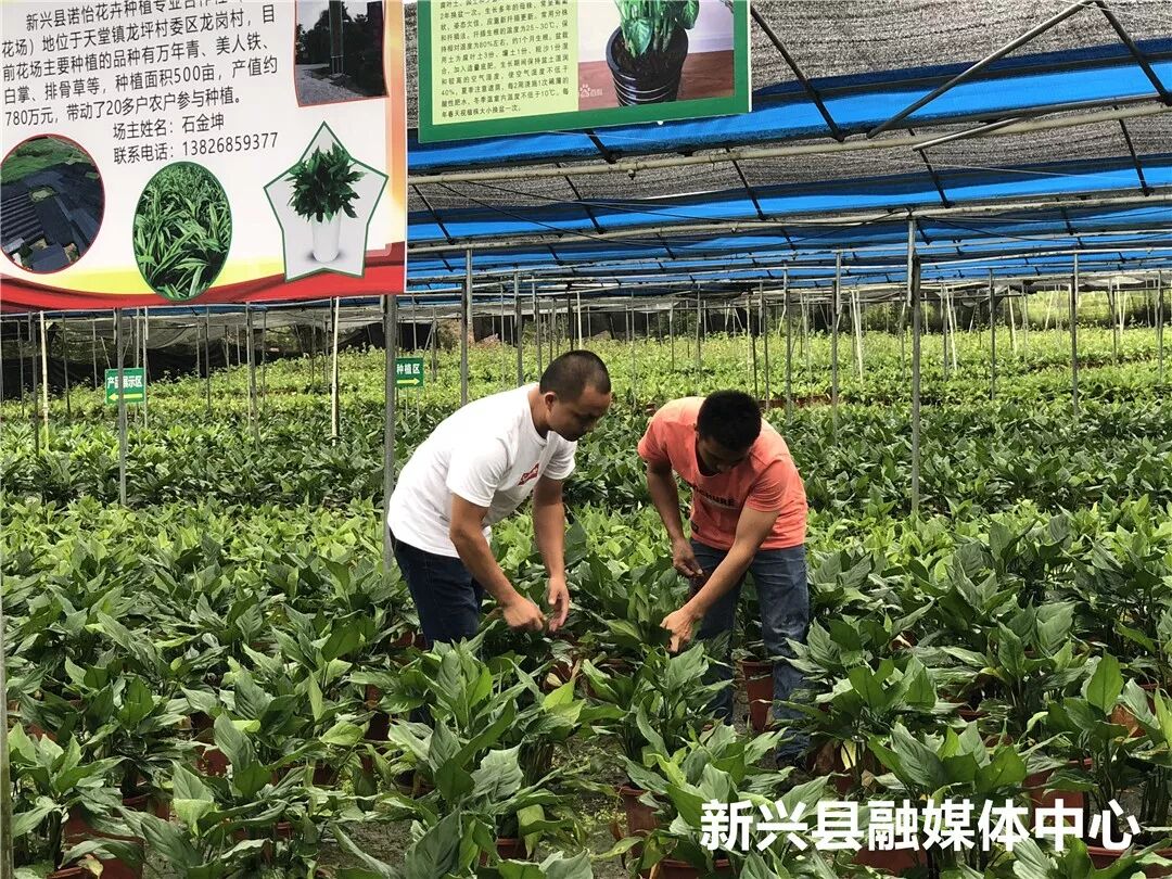 种植创业项目_军人退伍创业优惠政策_2018军人退伍时间