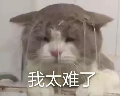 遭绑架、遇诈骗、租房被坑...... 开学季，留学生如何保障人身财产安全？（组图） - 5