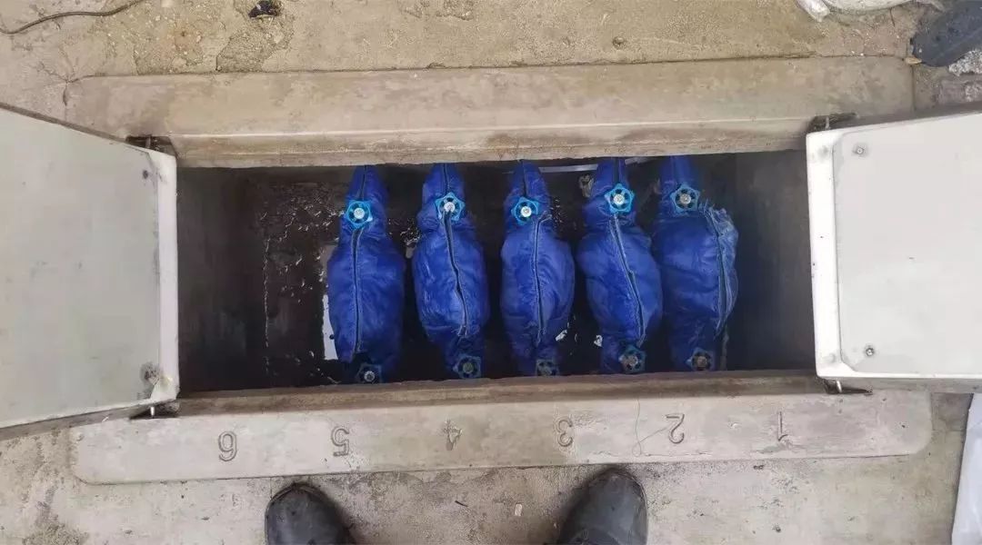 ͼƬ