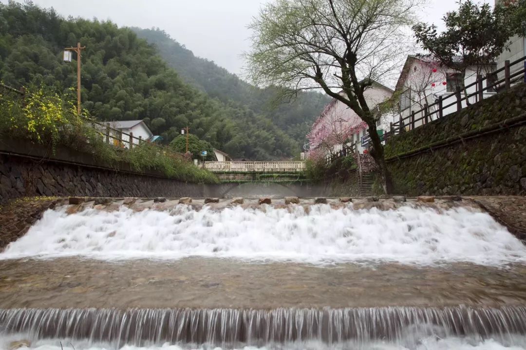 美麗鄉村示範縣創建丨巖樟鄉居家養老服務中心開業啦，大家來看看！ 家居 第17張