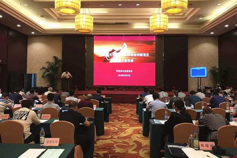 大学生创业好项目创意_朱元璋-从放牛娃到富有天下的创业启示录_富有创意的创业项目