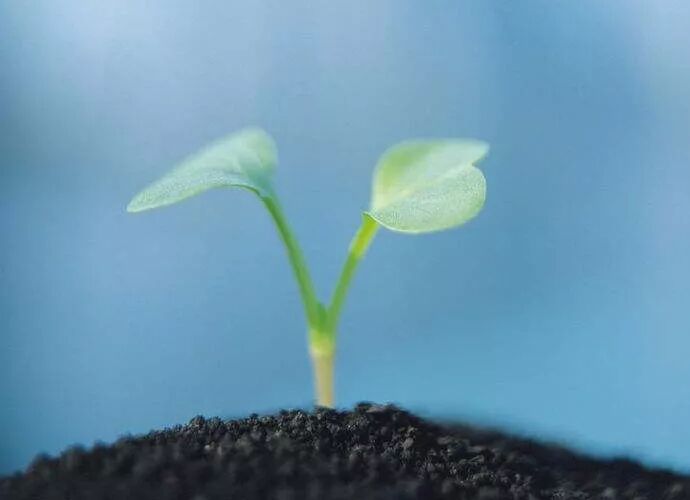 富有创意的创业项目 苏州市首届农村创业创新项目创意大赛预赛开赛啦