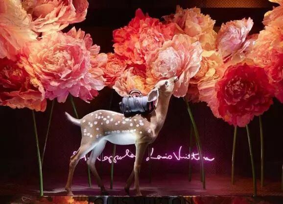 鹿茸酒生精养血壮阳之功效！食疗方滋补肝肾抗疲劳！