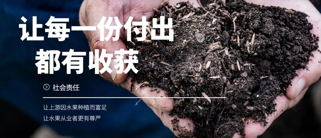 大咖专访 | 百果园集团人力资源总监肖晓明：如何从人才管理上打造“有温度”的企业？-Moka人力资源管理系统-HR系统