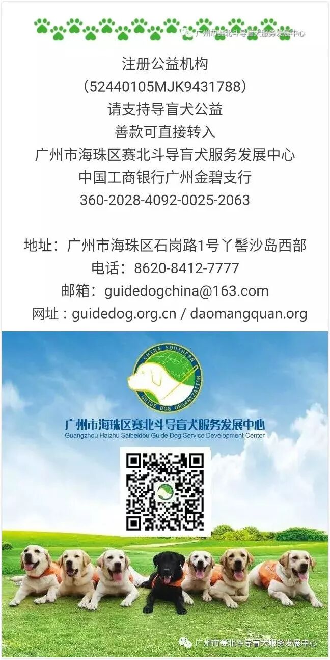 拥有社会气息的阿尔法和安安 广州市赛北斗导盲犬服务发展中心 微信公众号文章阅读 Wemp