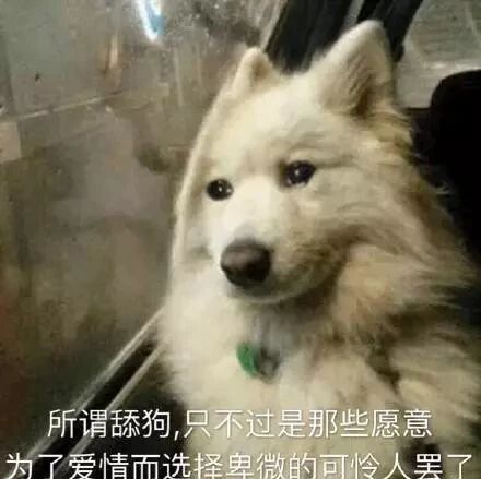 微信公众号广州市赛北斗导盲犬服务发展中心 Gzdaomangquan 最新文章 微信公众号文章阅读 Wemp