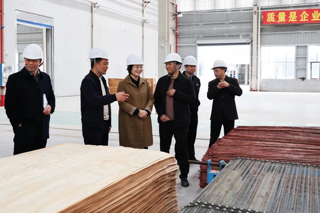 黄海蓉赴企业一线开展“送解优”行动