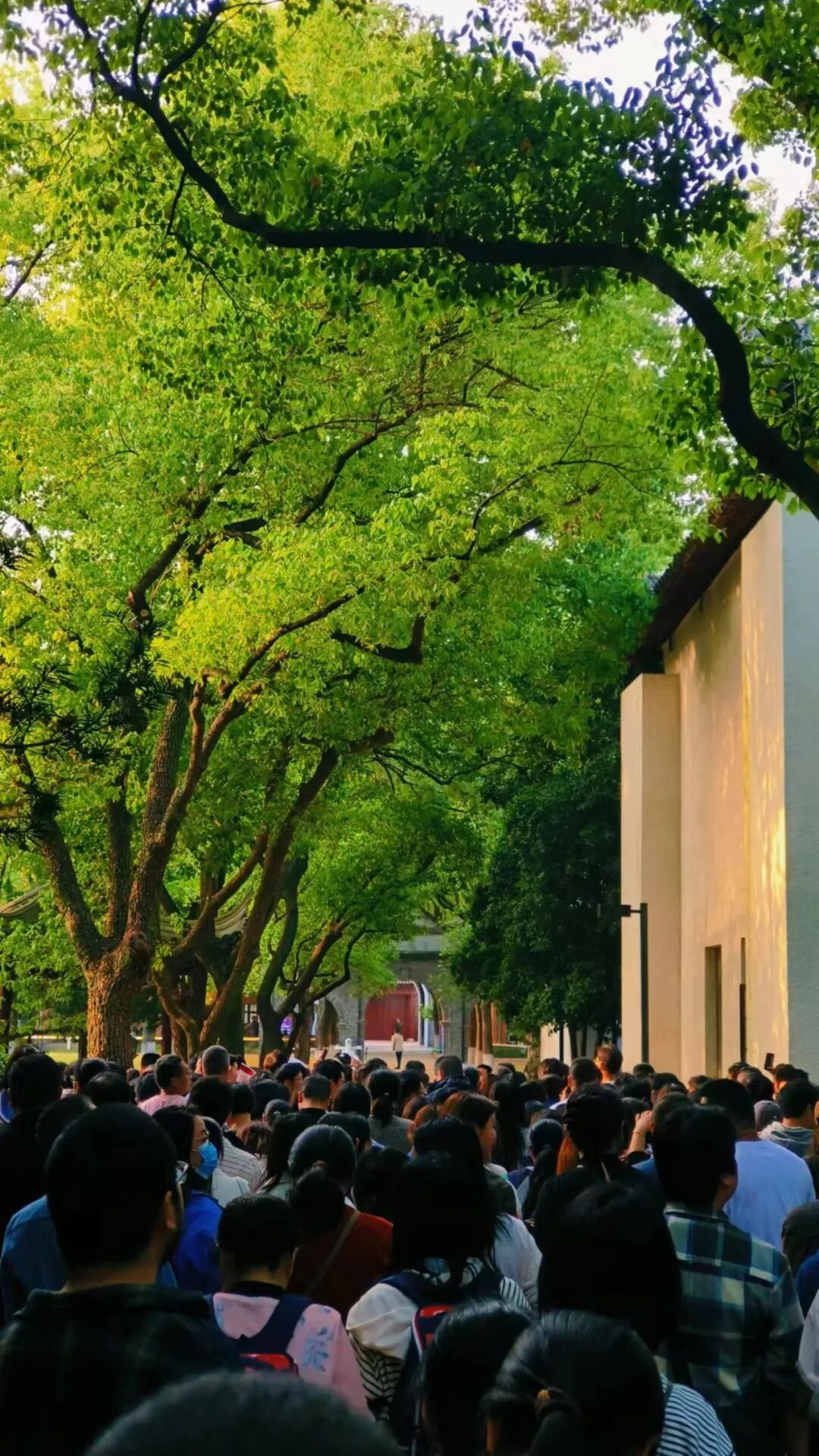 苏州中学在升学季经常会举行一些面向校外学生的活动，心仪苏州中学伟长