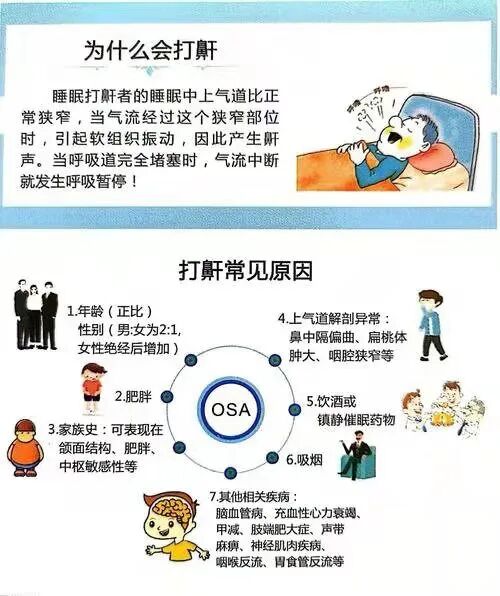 使用呼吸机为什么嗜睡夜间打鼾   白天嗜睡疲惫——您可能患有睡眠呼吸暂停综合症_https://www.jmylbn.com_新闻资讯_第2张