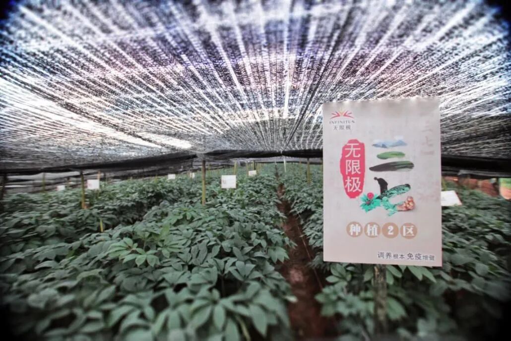 无限极以实干推动健康中国，助力美好生活