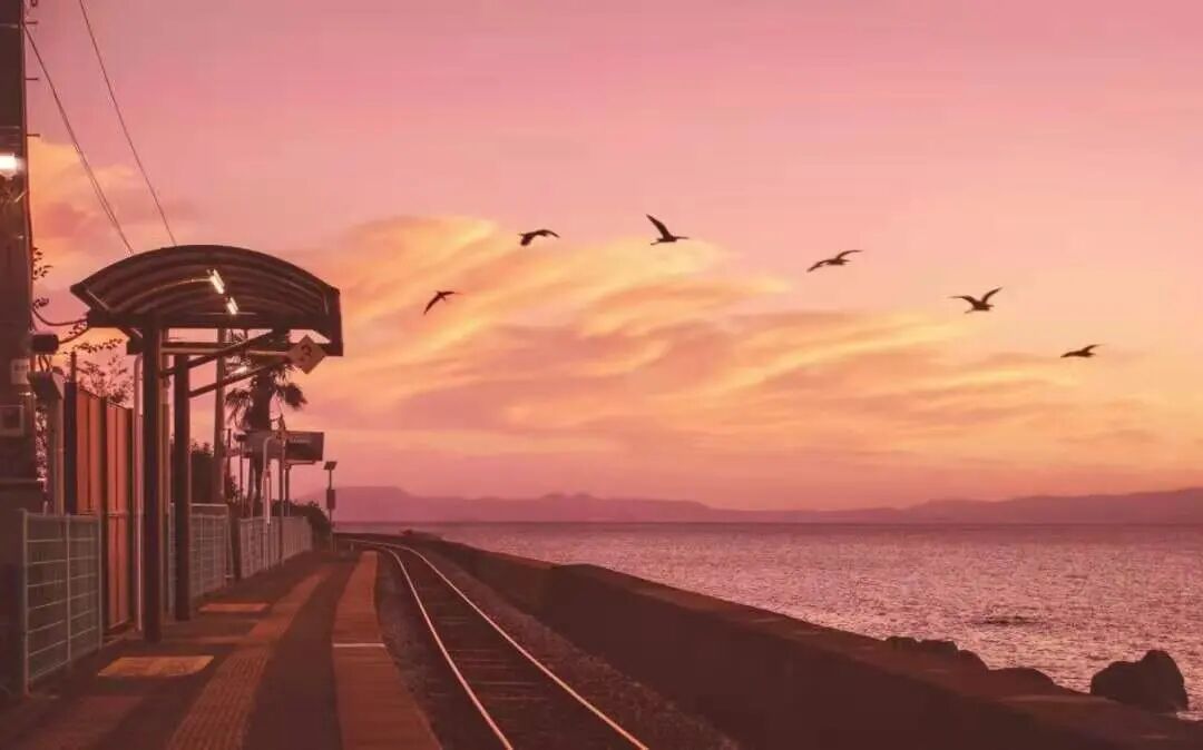 永远臣服于温柔