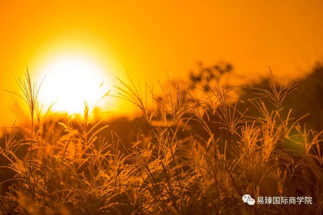 “阳气不足”，其实可以靠这些方法补回来！