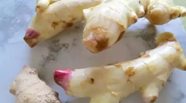 你还在浪费钱买菜干什么，这几种菜买一次够吃一年200924