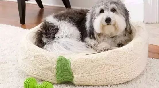 旧毛衣千万不要扔！剪一剪，不用买新包包了！