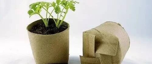 家里这么多宝贝，你居然都扔了，太浪费了