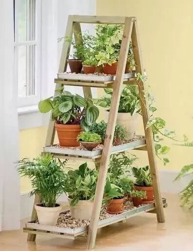 这么美的花架，你家是不是刚好缺一个?