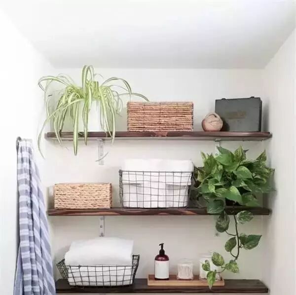 把几个废弃的瓶瓶罐罐洗洗干净晒干……结果惊呆了！