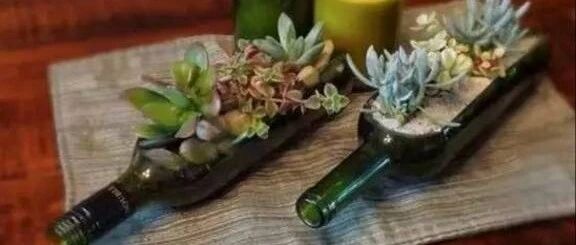 家里的空酒瓶子千万别扔，别怪我没告诉你！