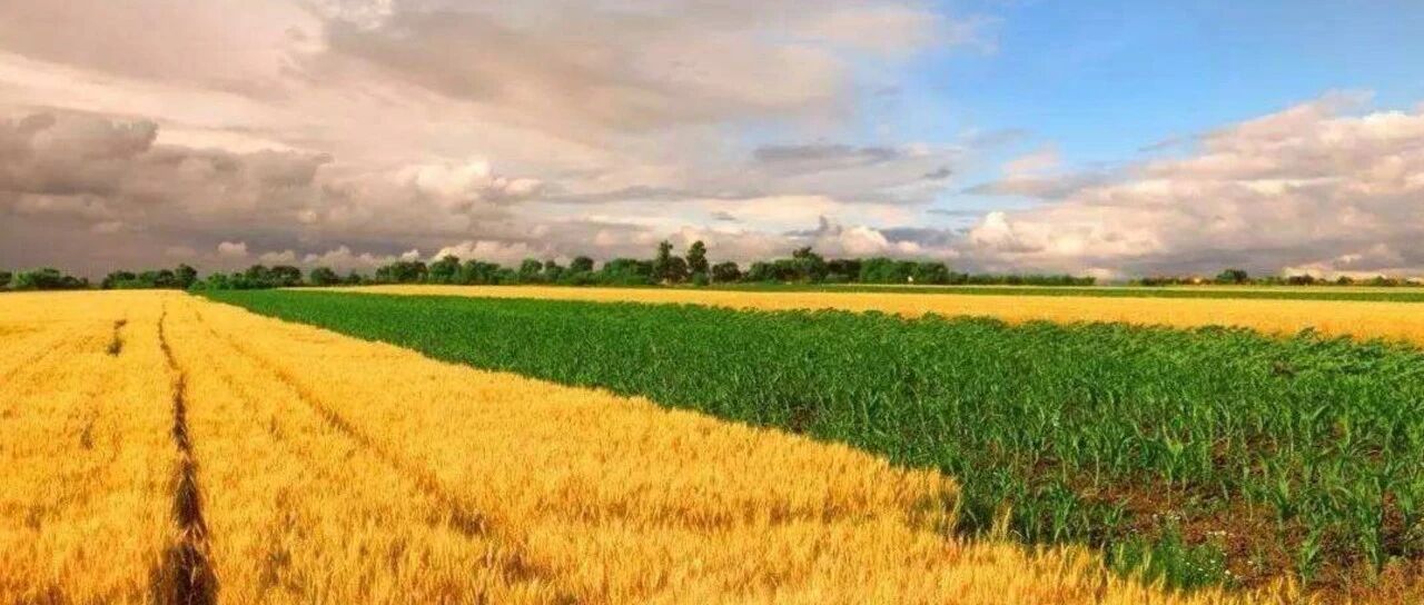 農林牧漁行業專題研究：走出低谷，迎接周期向上圖片