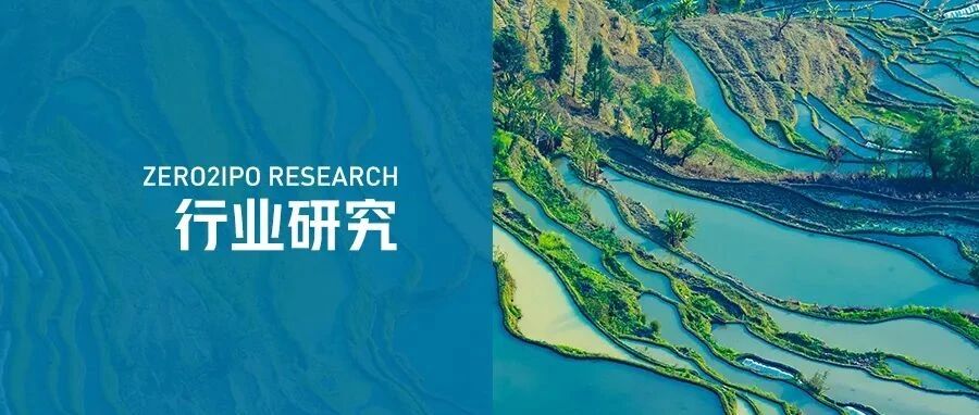 《2021中国及河南农业产业投资发展研究报告》发布（上篇）