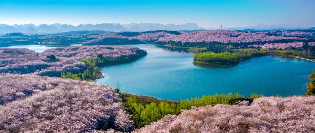 贵州省新设5支基金 省级财政出资200亿