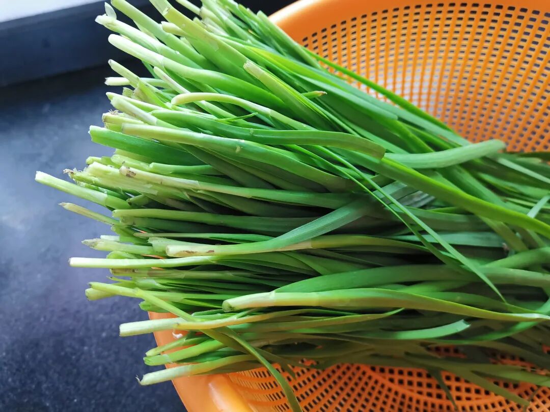 抑郁症就是阳气不足了，春天多吃“起阳草”，护肝养阳，越吃越开心！