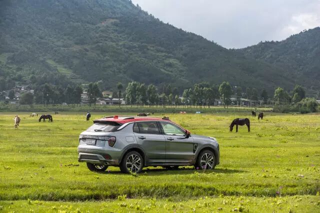 到高原、江畔和坝上草原清凉一夏