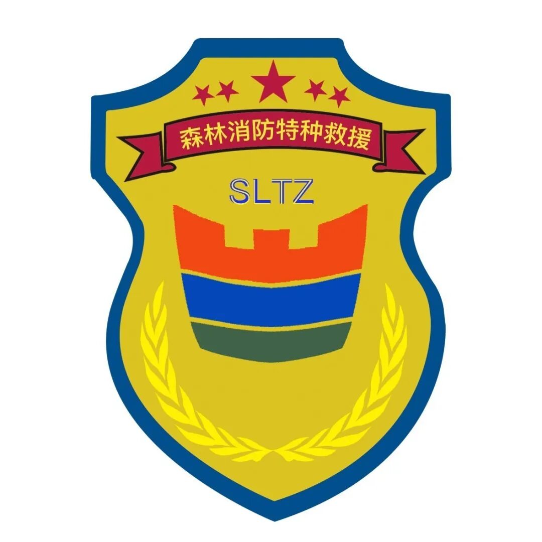 西藏森林消防总队特勤大队代号名称和标识设计方案投票!