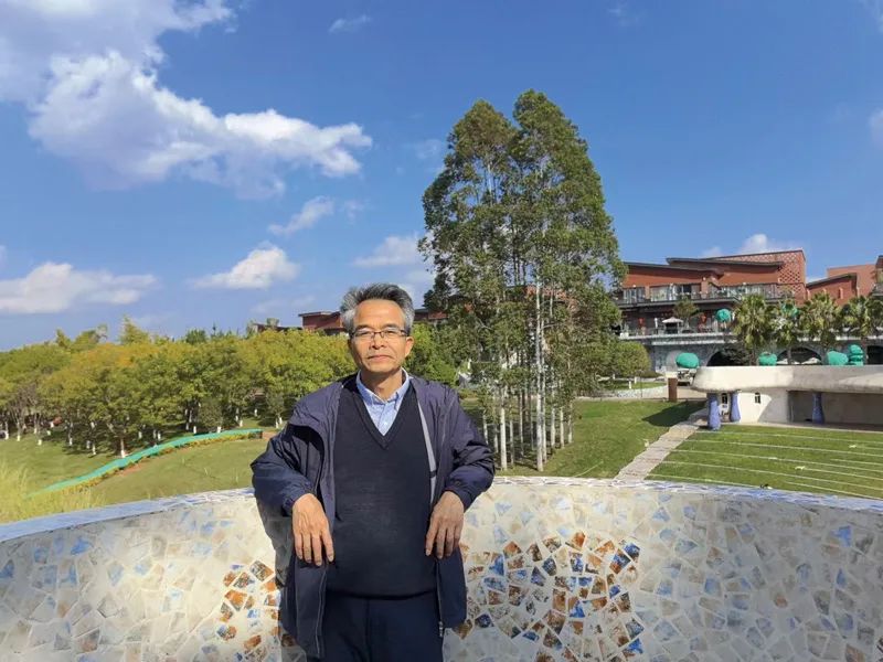 桉树，这5年，有哪些想象不到的新发展？