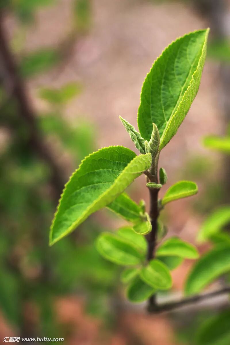 创建Excel销售报表统计工具插图1