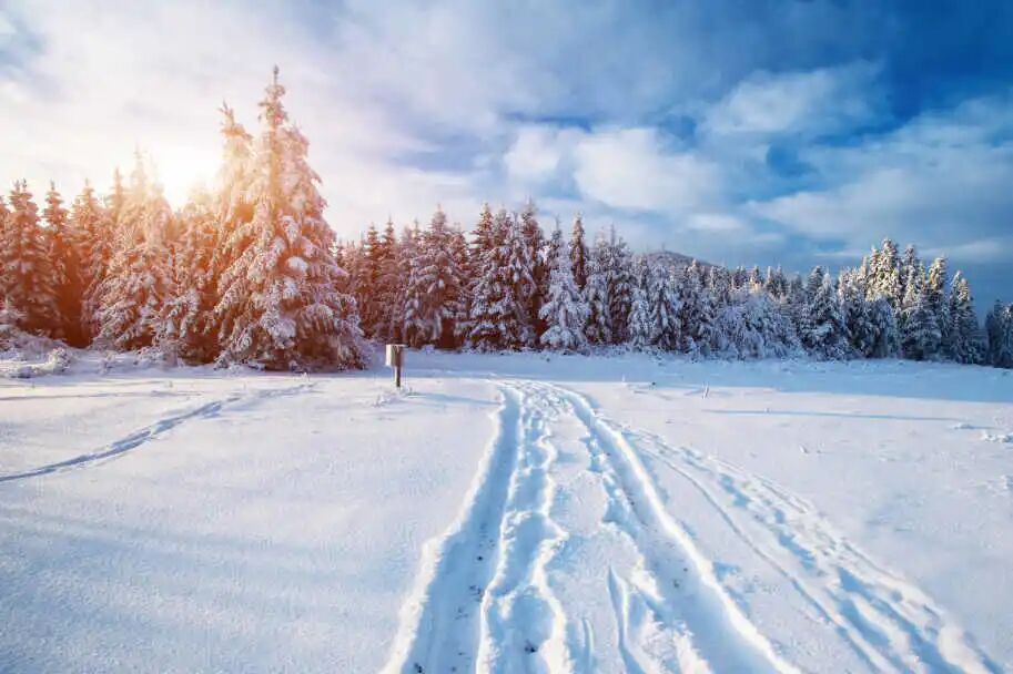 冬日感受陽光溫暖