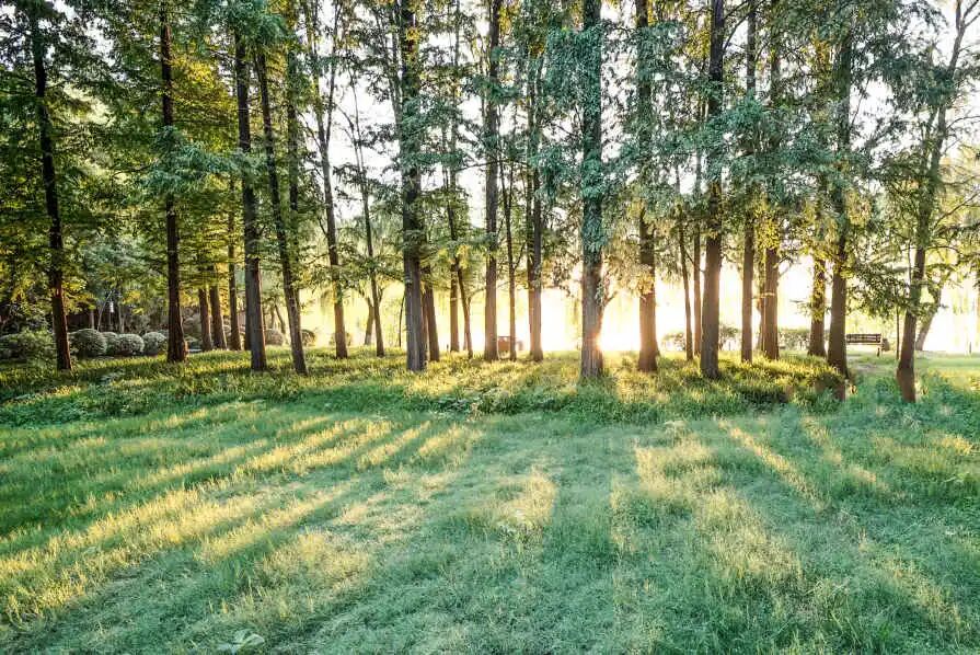 夏日燃燒熾熱的心