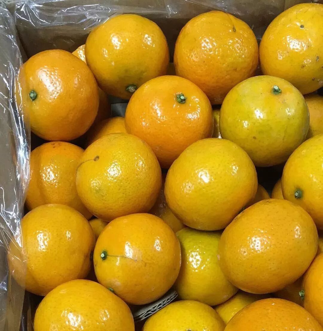 皇帝贡柑 6.5元一斤