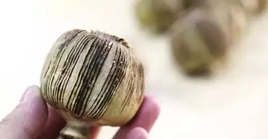 这么冷的天要吃火锅?当心大烟壳!