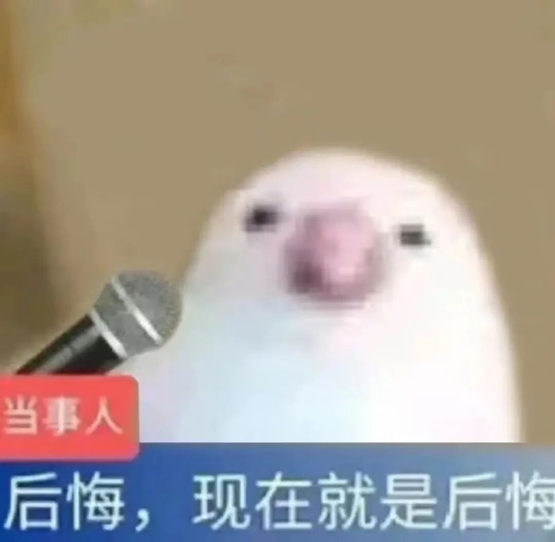 提醒大家,务必要留意学校官网的补考信息(包括时间,费用等规定),因为