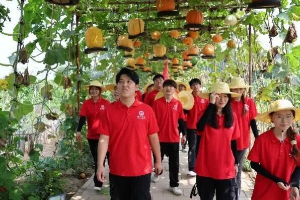 社斗牛娱乐官网实践（二十）｜牛牛游戏经济牛牛游戏“薪火逐光”实践团赴雄安新区黄湾村开展“三下乡”社斗牛娱乐官网实践活动（三）