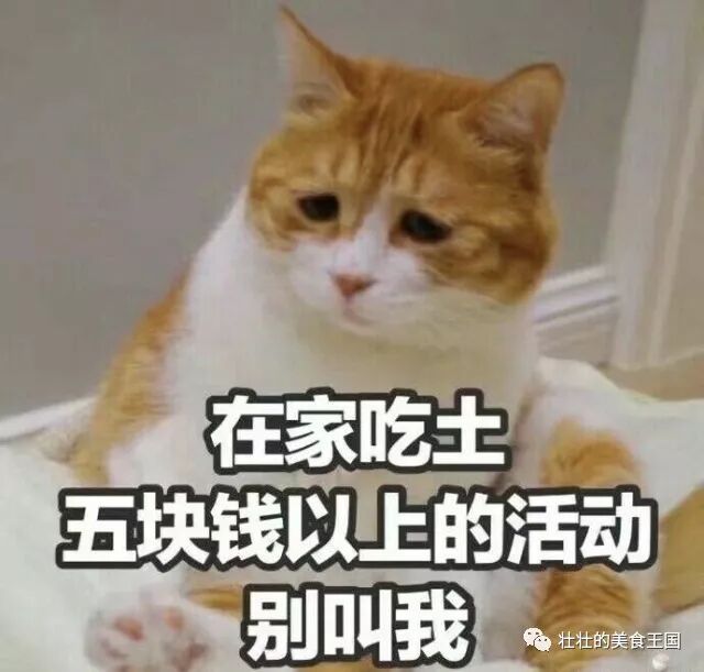 夜深人静让我想起的不是那个他,而是这碗香喷喷的港式牛杂