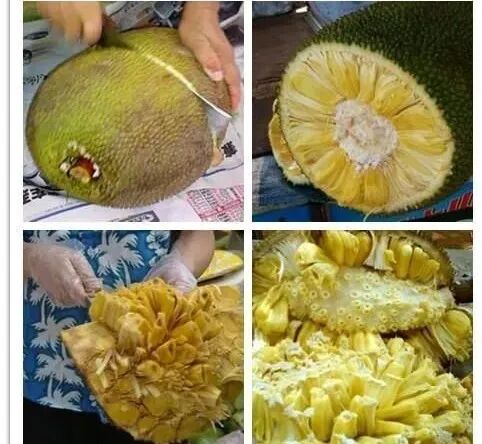 招人_招人去哪个平台_招人文案