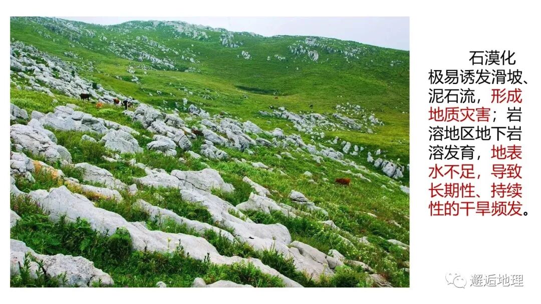 喀斯特地貌主要分布在我国哪些地区_世界地震主要分布地区_喀斯特溶洞分布