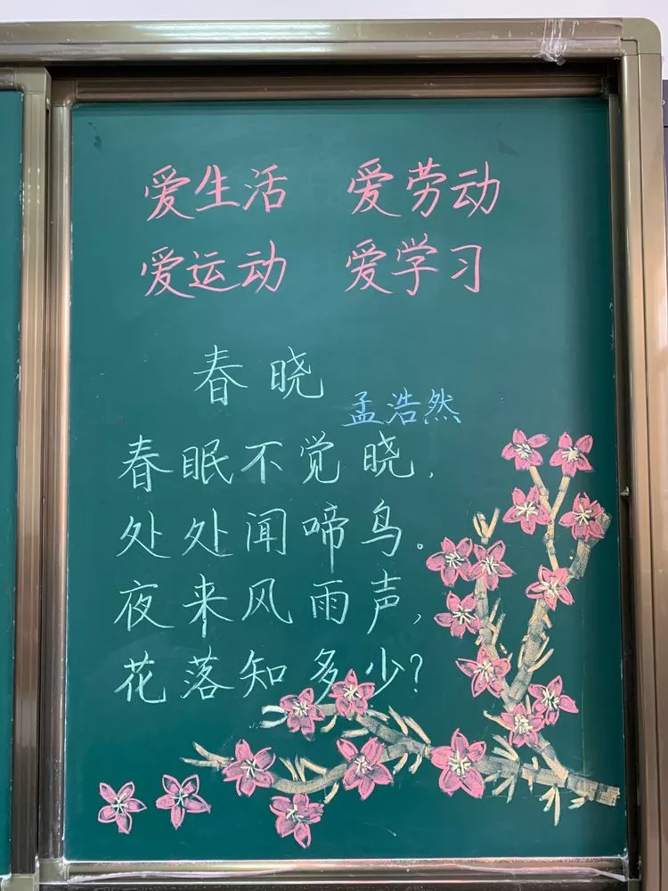 班级花朵展新颜,春风拂面现美景——记辅读学校班级文化评比
