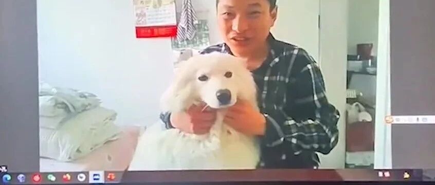 老师下网课直播撸大狗，同学们学习热情空前高涨…掌握到流量密码了！！