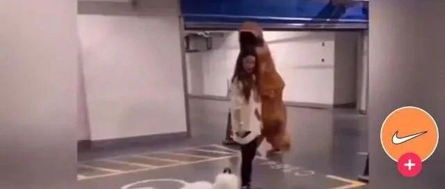 萨摩耶狗被装扮成恐龙的主人吓得掉头就跑