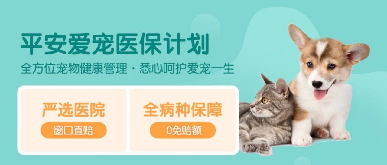 什么是宠物险？购买注意事项有哪些？