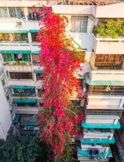 ݺ죺9¥ߵĺ{ž顰ٲľ޻