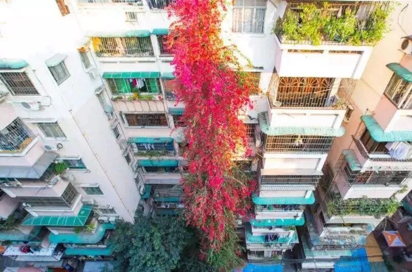 ݺ죺9¥ߵĺ{ž顰ٲľ޻