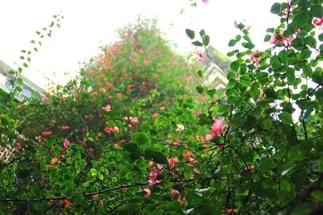 ݺ죺9¥ߵĺ{ž顰ٲľ޻