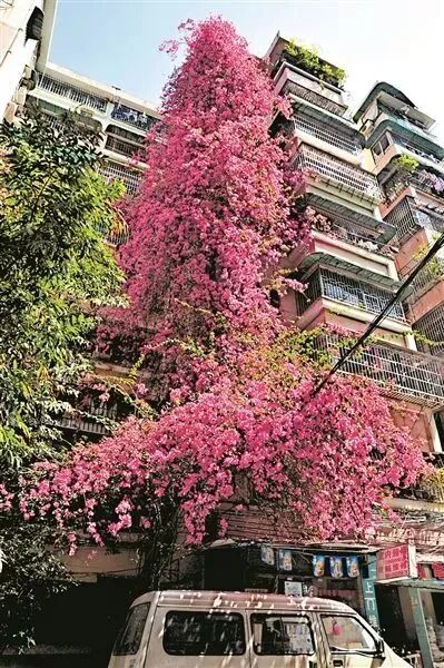 ݺ죺9¥ߵĺ{ž顰ٲľ޻