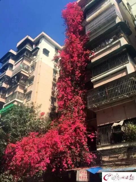 ݺ죺9¥ߵĺ{ž顰ٲľ޻