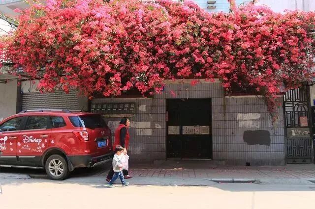 ݺ죺9¥ߵĺ{ž顰ٲľ޻