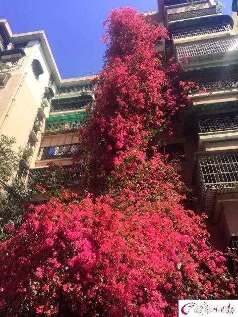 ݺ죺9¥ߵĺ{ž顰ٲľ޻